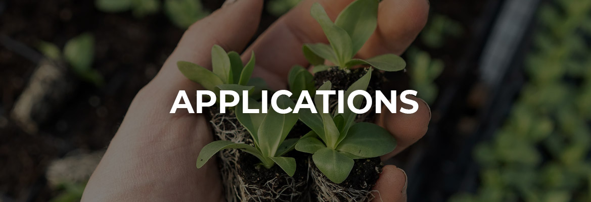 banner-true-partnership