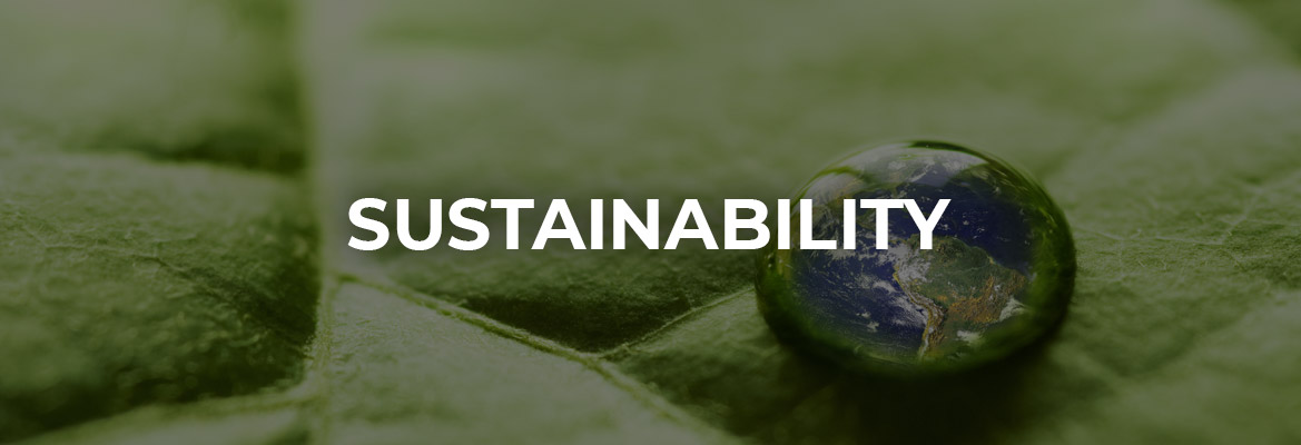 banner-true-partnership