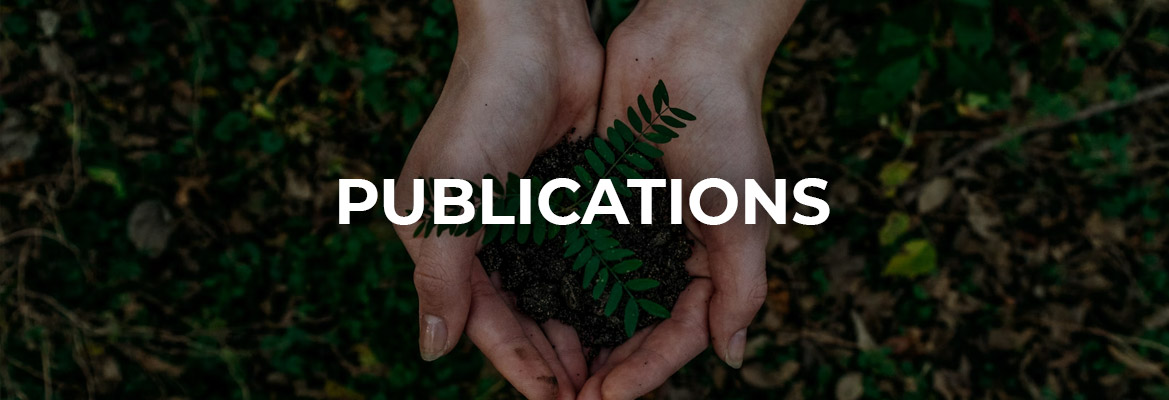 banner-true-partnership